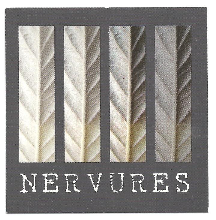 Nervure1 001