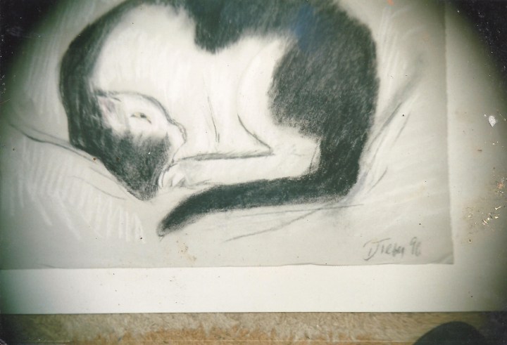 Raoul Tèves dessin chat