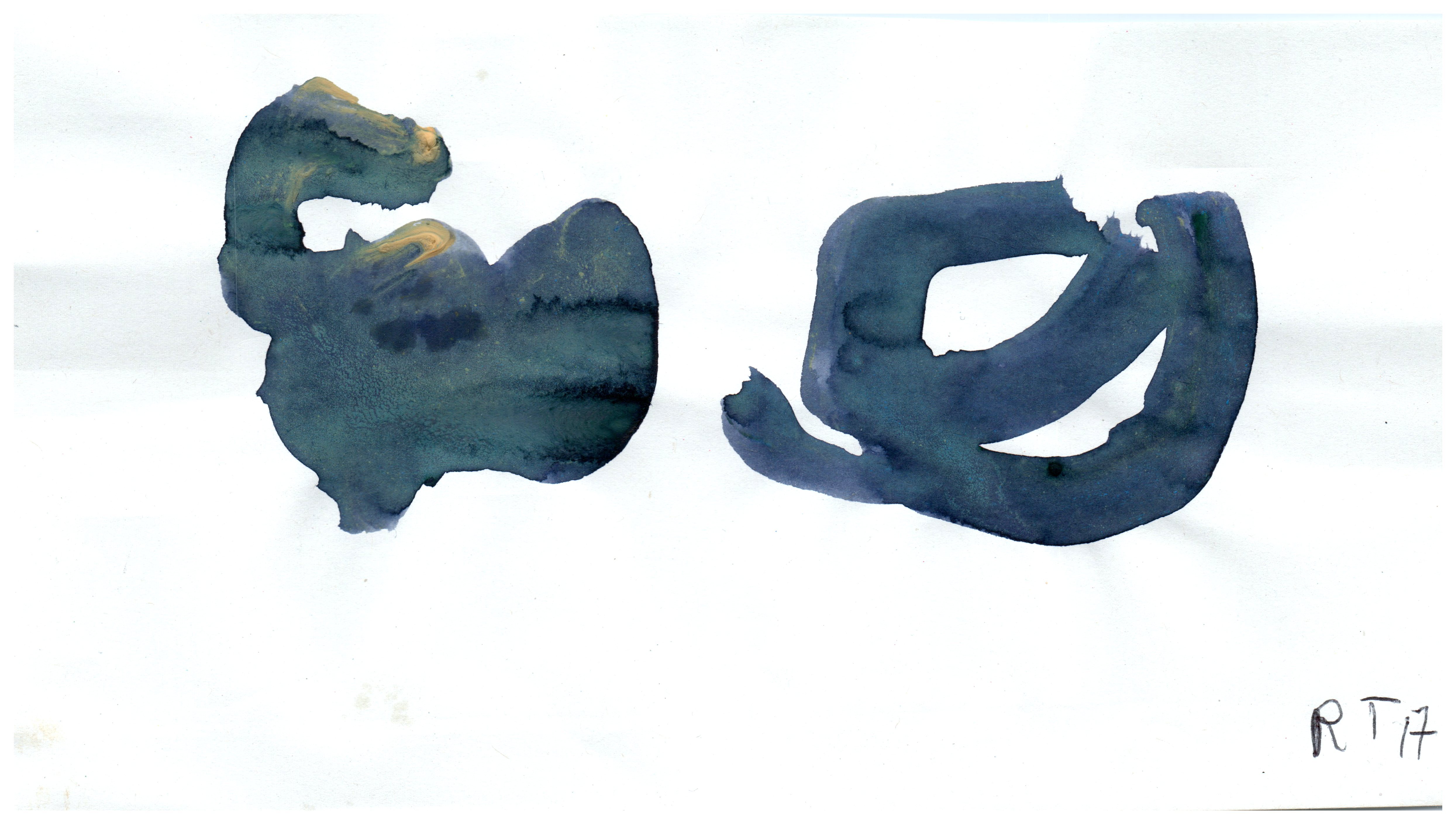 scan6-7-2017raoul0015