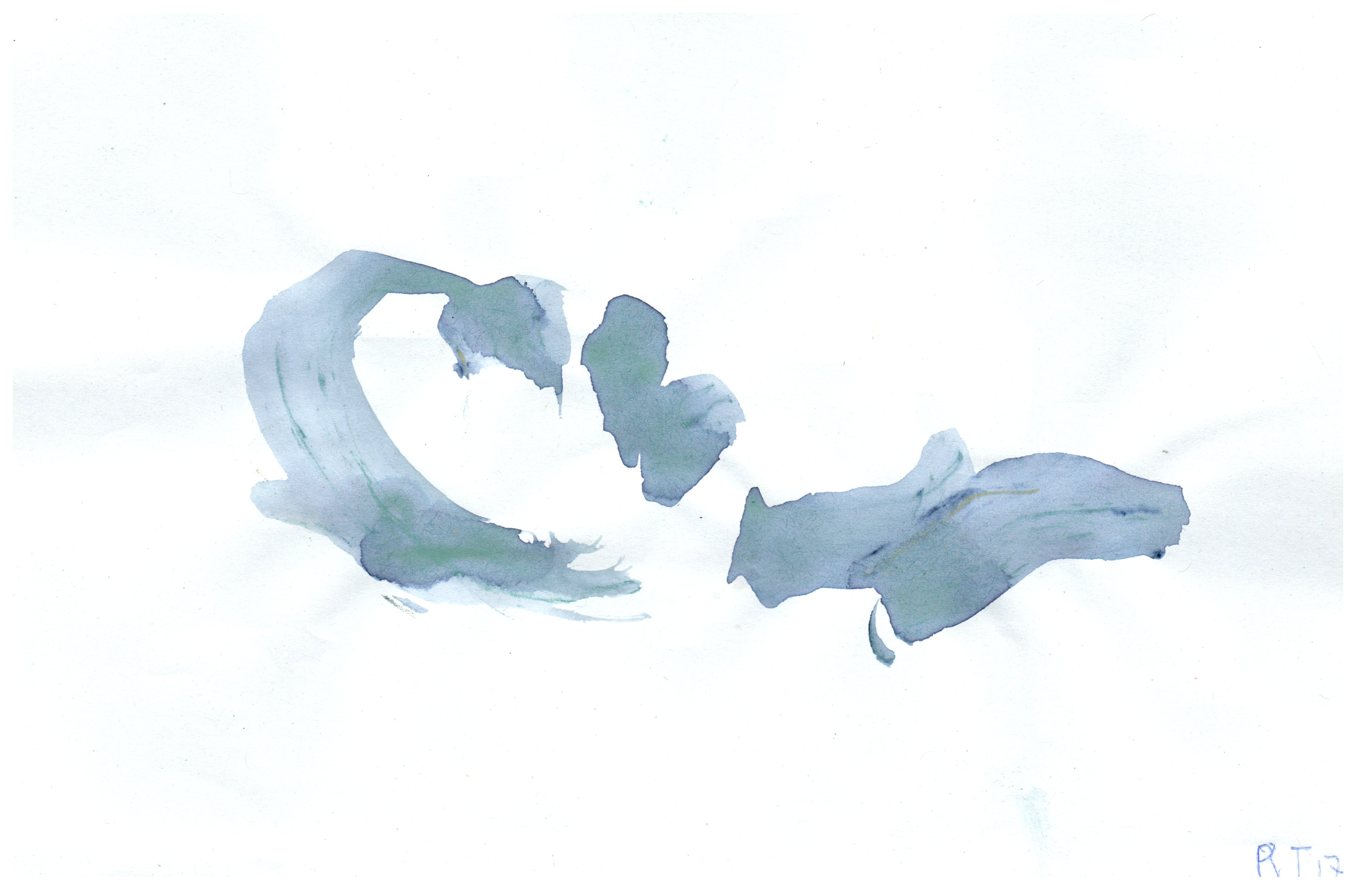 scan6-7-2017raoul0016